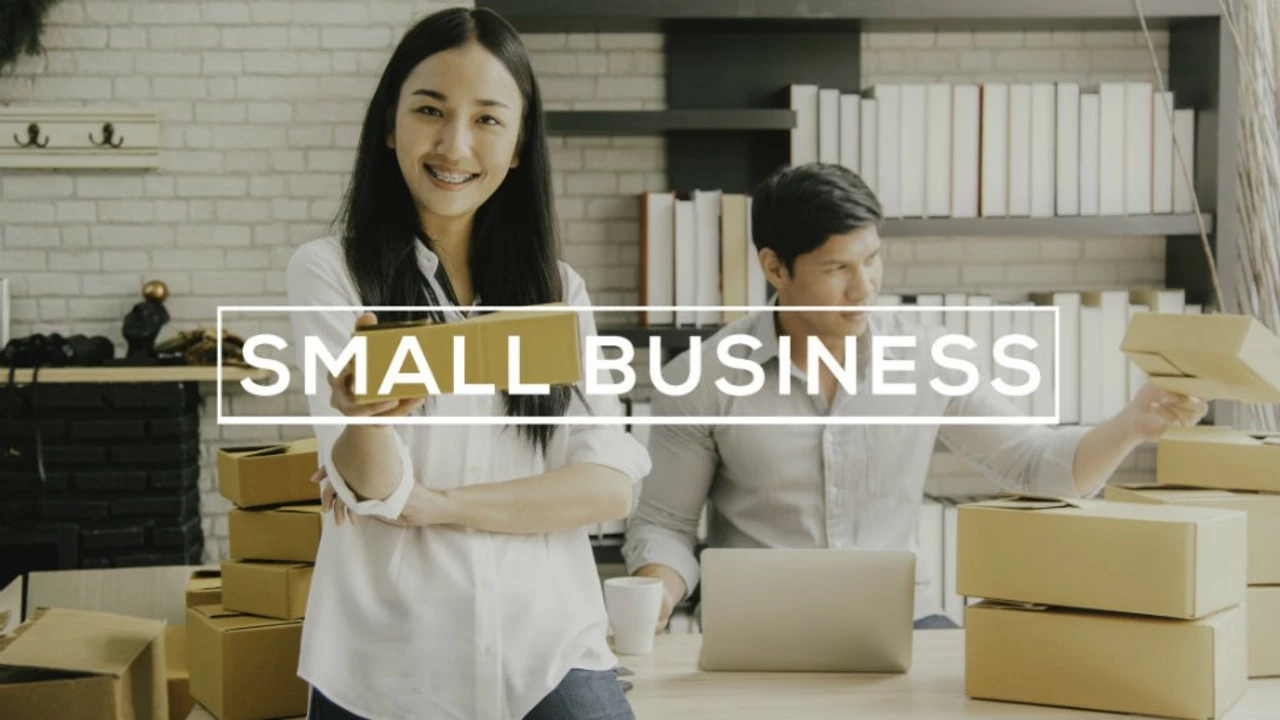 What do small business owners do?